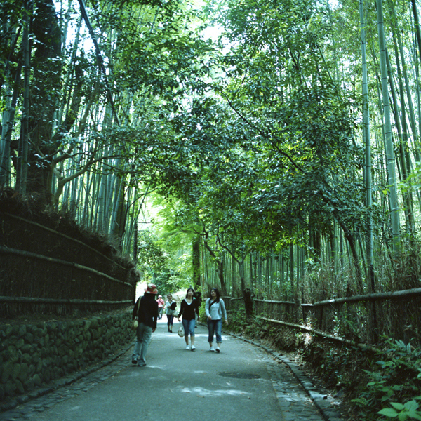 d0119505_3235828.jpg