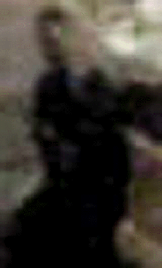 e0103408_15134138.gif
