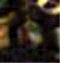 e0103408_1525321.gif