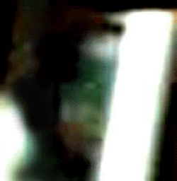 e0103408_21455571.gif