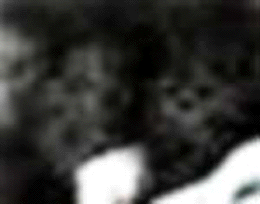 e0103408_21582782.gif