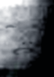 e0103408_21584492.gif