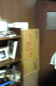 e0103408_21585583.gif