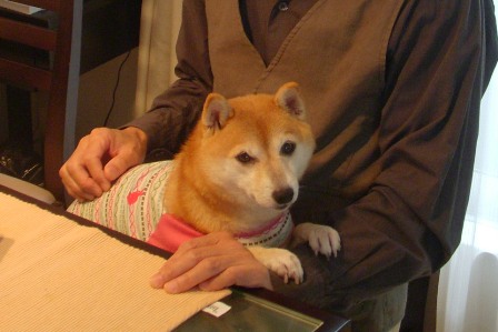 f0004309_22494190.jpg