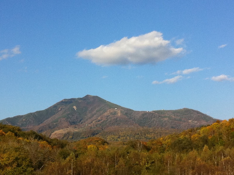 f0141209_1952821.jpg