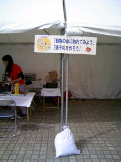 b0071310_922305.jpg