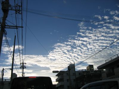 f0127610_21502388.jpg