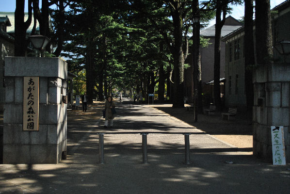 b0198313_2071336.jpg