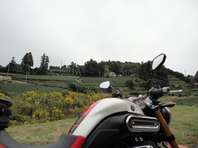 f0232613_19431350.jpg
