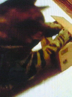 c0145016_9173450.jpg
