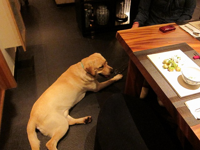e0192217_11533179.jpg