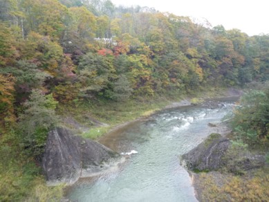 b0121019_01149.jpg