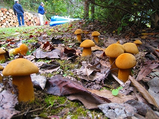 e0002820_21373158.jpg