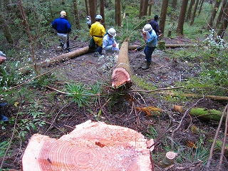 e0002820_21434223.jpg