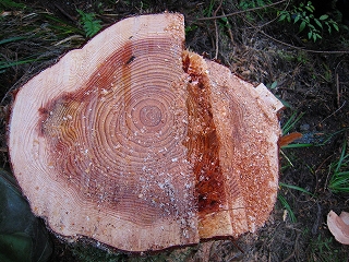 e0002820_21461369.jpg