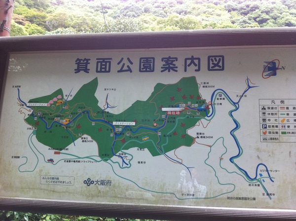 f0100920_1202298.jpg