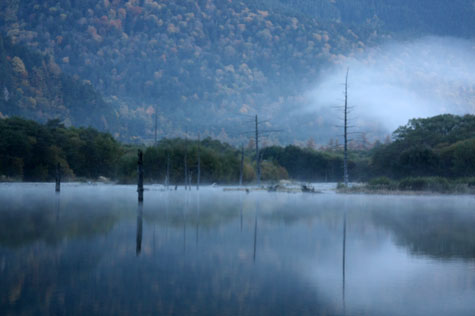 f0137324_20373129.jpg