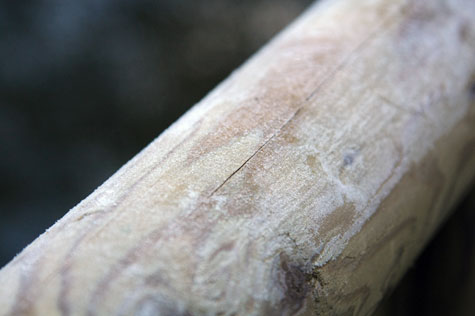 f0137324_20561782.jpg