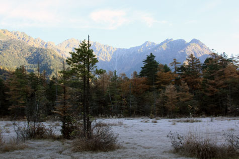f0137324_2056558.jpg