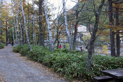 f0137324_21365772.jpg