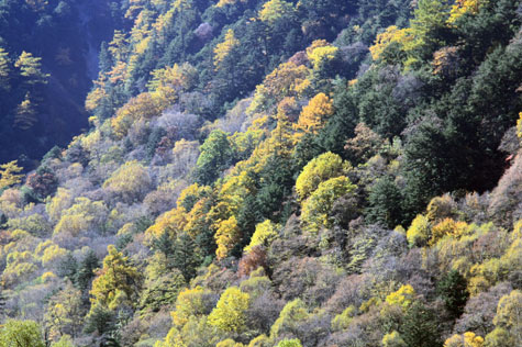 f0137324_22272250.jpg