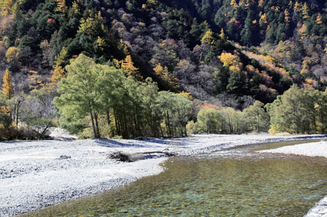 f0137324_2227745.jpg