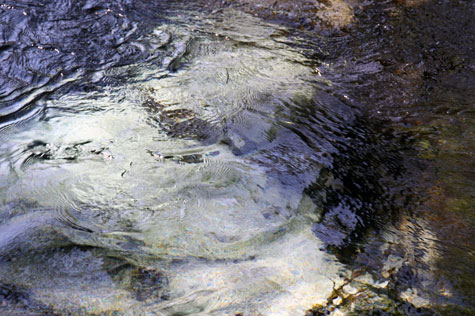 f0137324_2265169.jpg