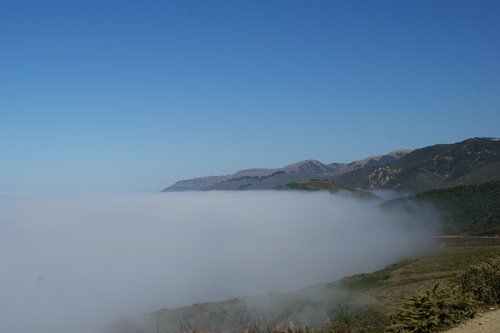 b0001326_693556.jpg