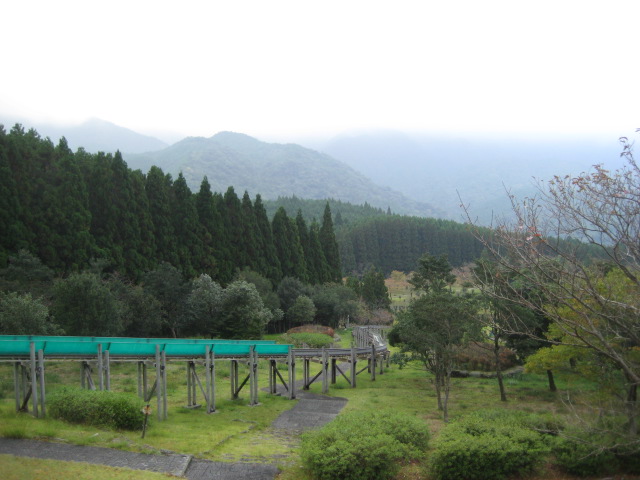 d0147727_20581595.jpg
