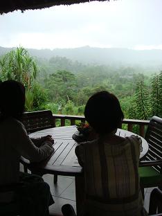 a0120328_1385686.jpg