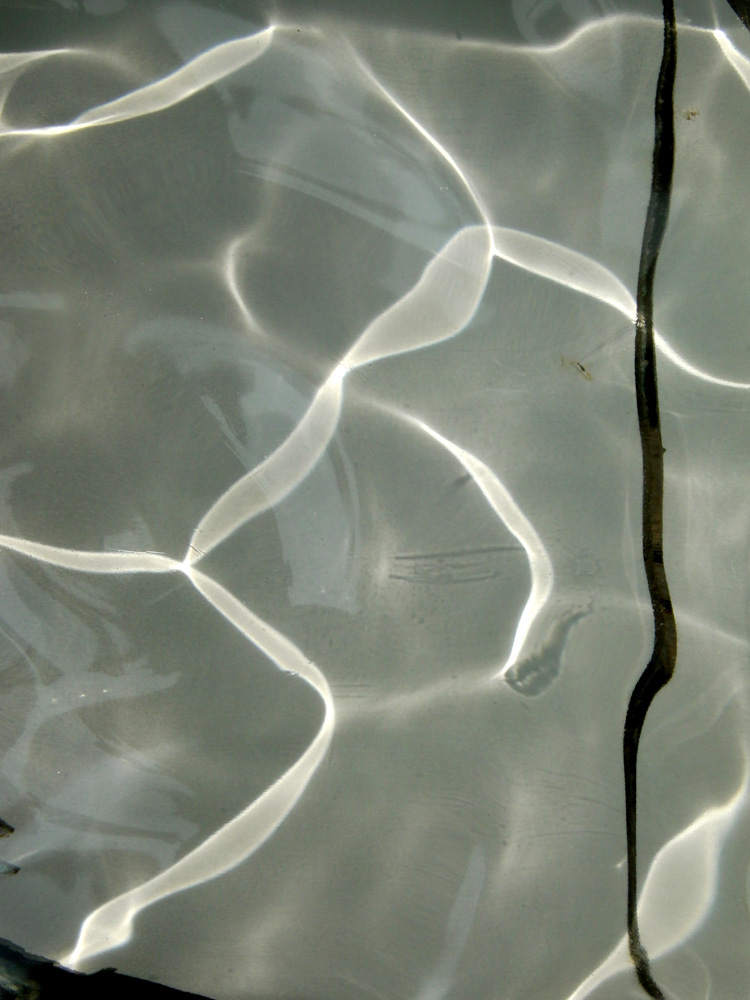 f0180529_24155.jpg