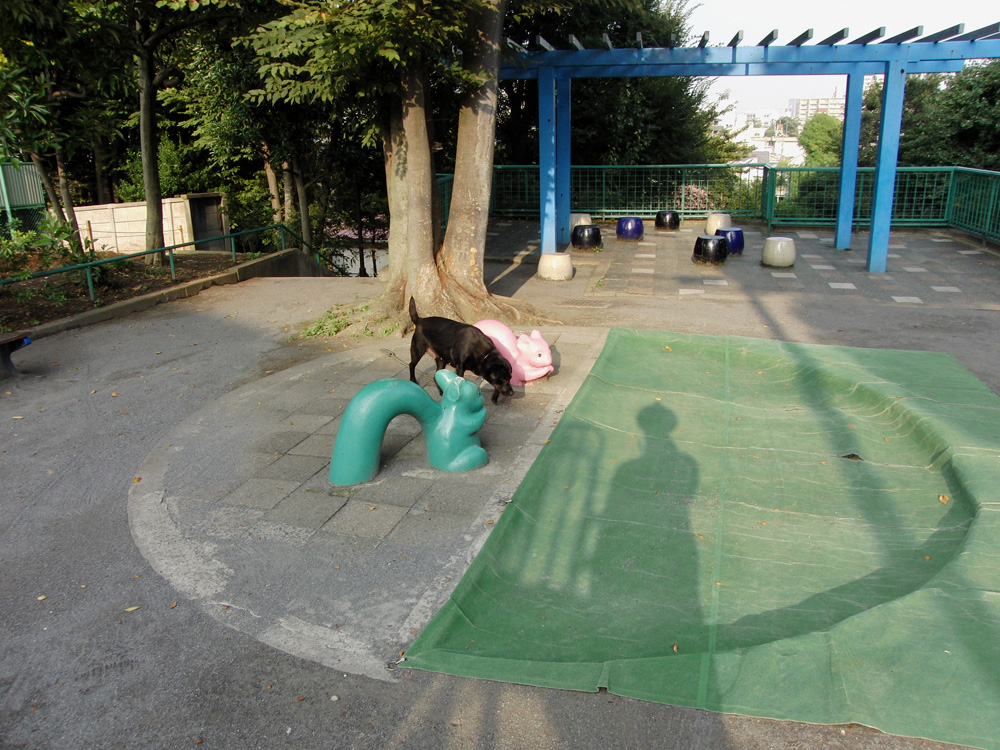 f0180529_242863.jpg