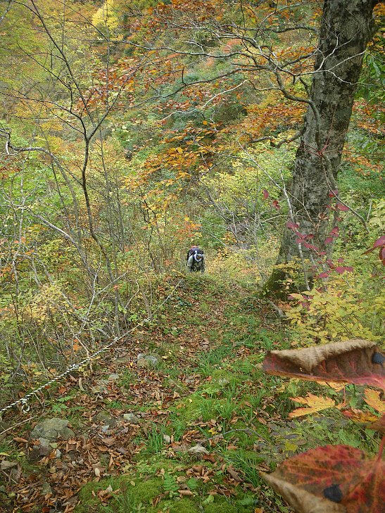 f0118332_23172670.jpg