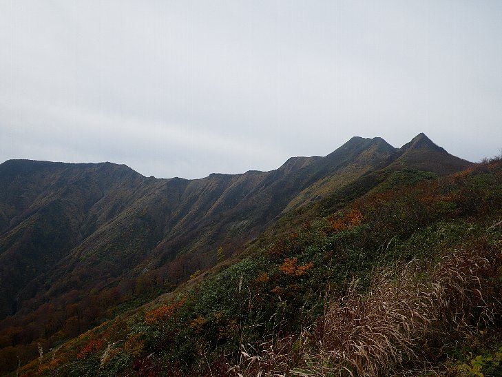 f0118332_2331825.jpg