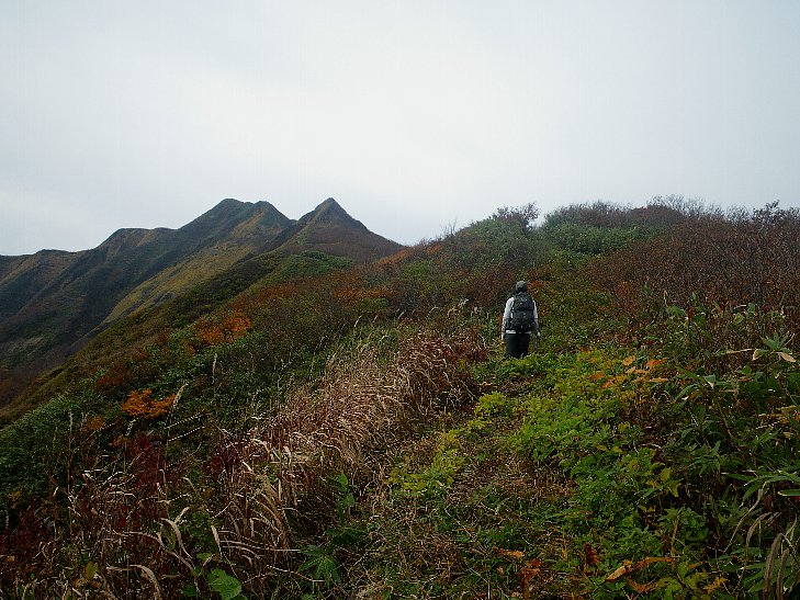f0118332_2333736.jpg