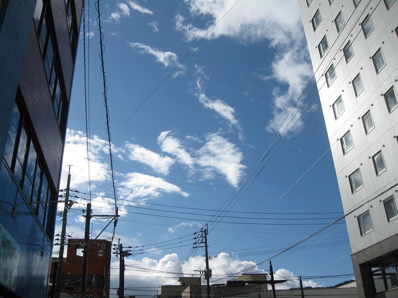 e0062635_9173229.jpg