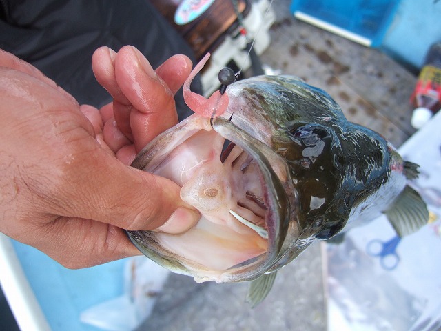 c0208836_10411165.jpg