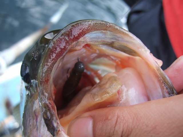 c0208836_10441984.jpg