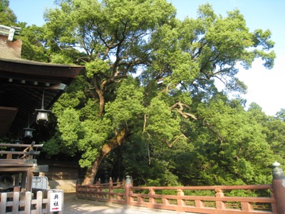 c0077338_10231397.jpg