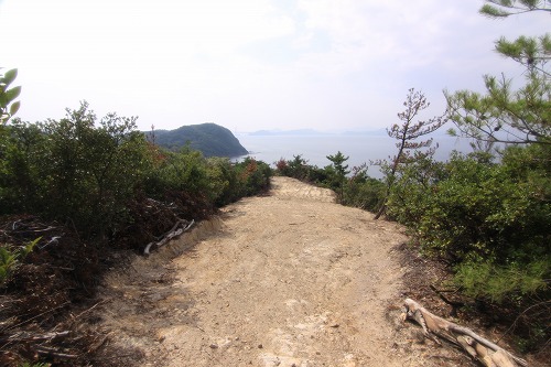 b0168041_16421212.jpg