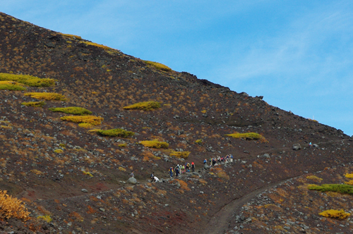 e0144545_824513.jpg