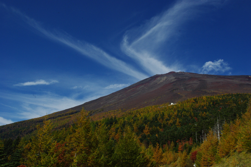 e0144545_914202.jpg