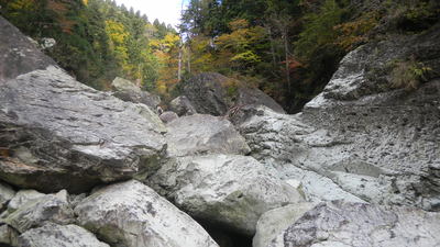 b0204351_1374615.jpg
