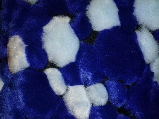 a0159652_1261974.jpg