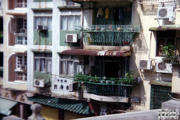 f0013652_1032662.jpg
