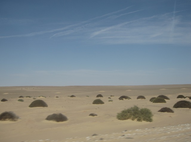 b0173754_1131416.jpg