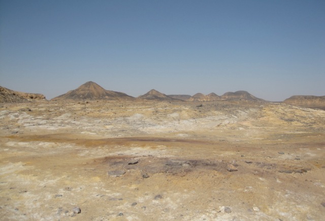 b0173754_12192958.jpg