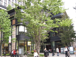 e0113254_0595563.jpg