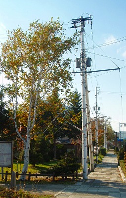e0004756_8384555.jpg
