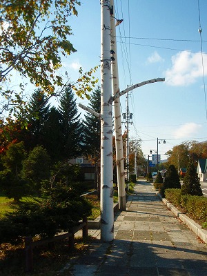 e0004756_8413864.jpg